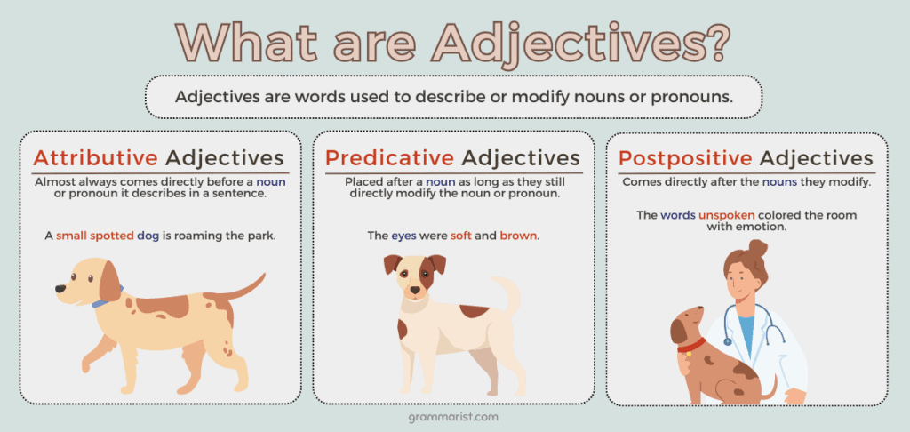 Adjectives Definition Types Examples Quizzes
