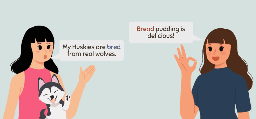 Bread vs. Bred Homophones Difference Definition 1