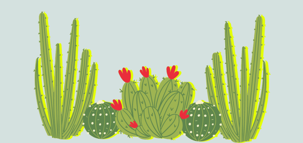 Cacti vs. Cactuses – Which Is The Correct Plural Usage