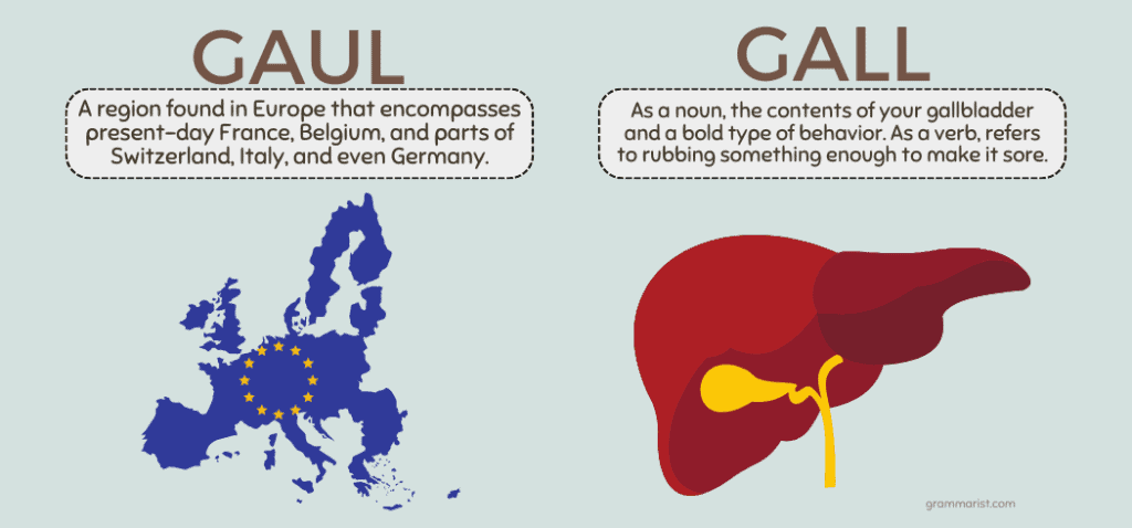 Gall or Gaul Definition Difference