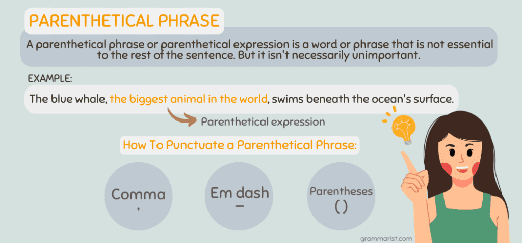 Parenthetical Phrases Definition Examples