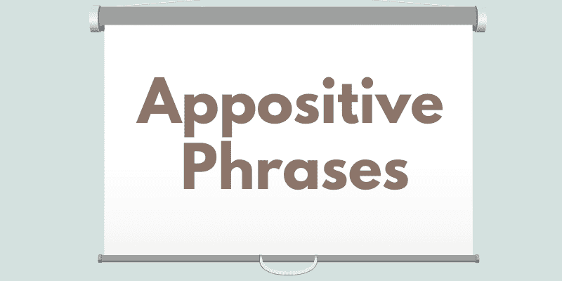 appositive-phrases-and-how-to-use-them-in-a-sentence-grammar-punctuation-rules