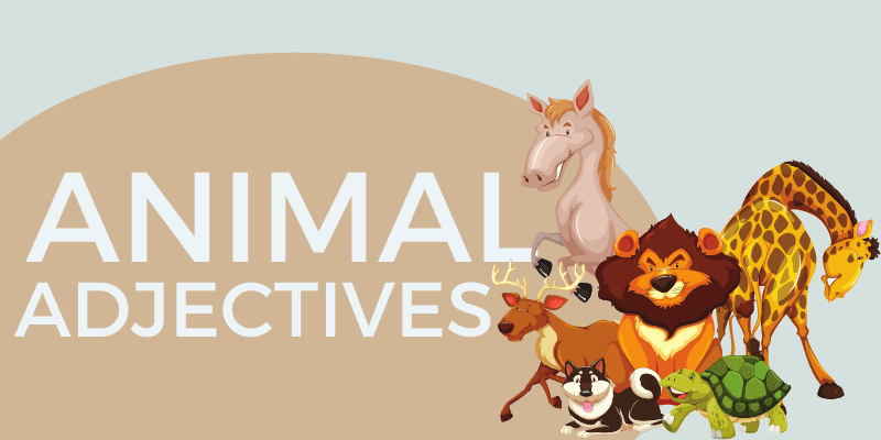 Animal Adjectives - Complete List