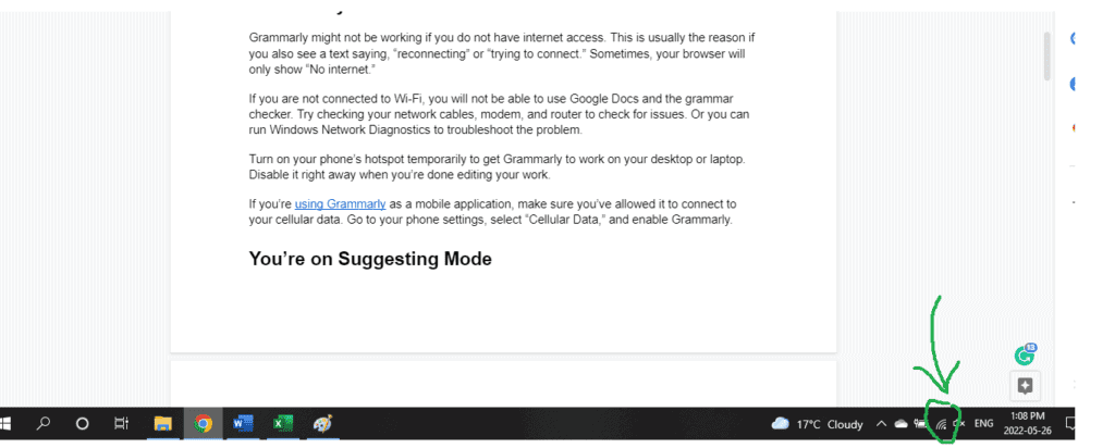 Grammarly Does Not Have Internet Access 2