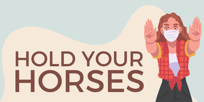hold your horses idiom