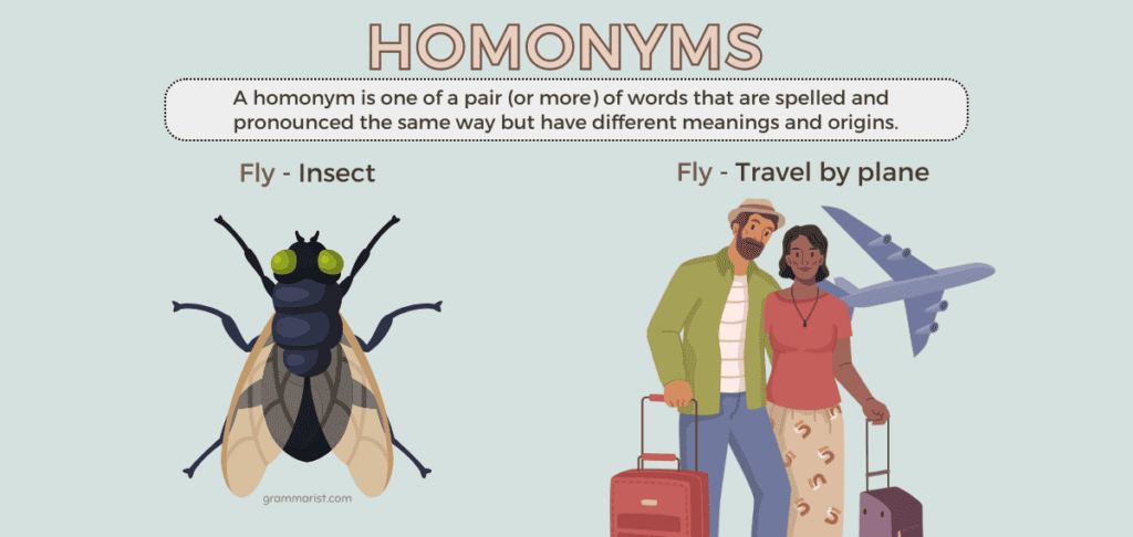 Homonyms Meaning Rules Usage and Guide