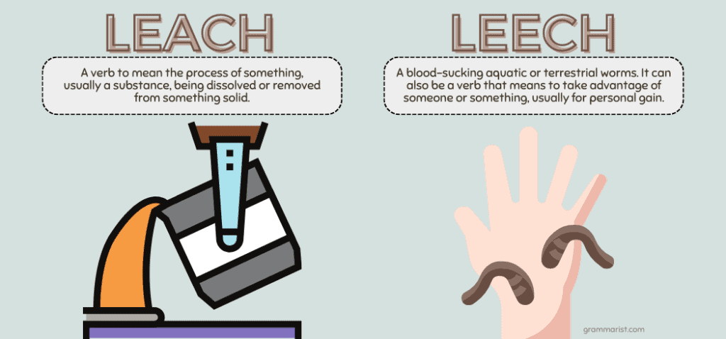 Leach or Leech Whats the Difference
