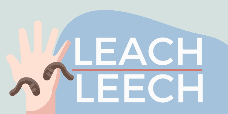 Leach or Leech Whats the Difference 2