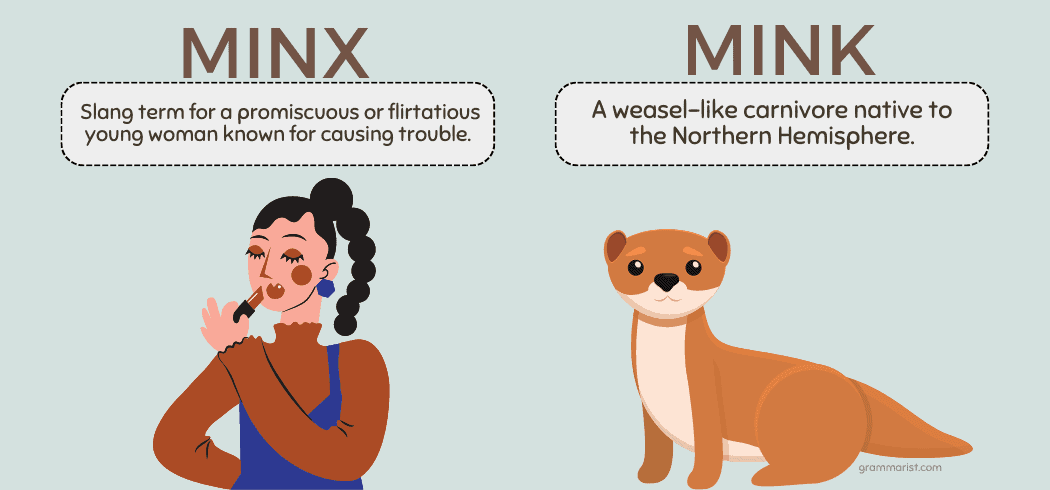 Minx Vs Mink What S The Difference