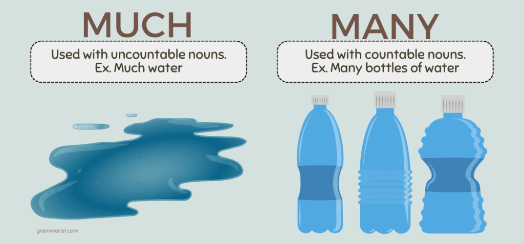 Much or Many Usage Difference Examples