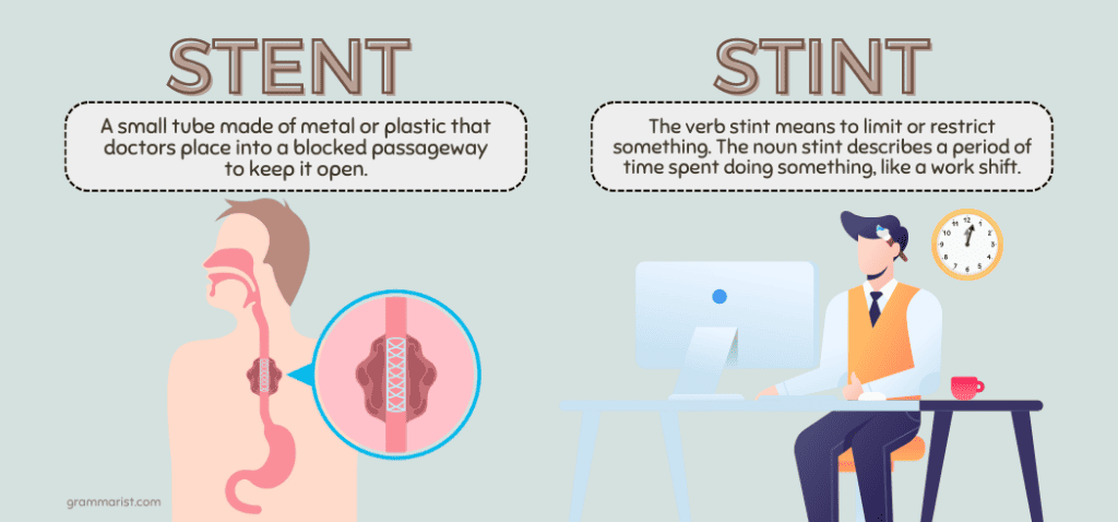 Stint or Stent Difference in Meaning Usage