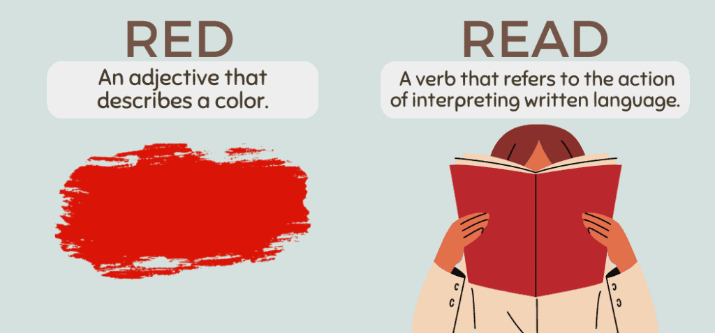 trådløs harpun knoglebrud Red vs. Read - Usage, Difference & Meaning