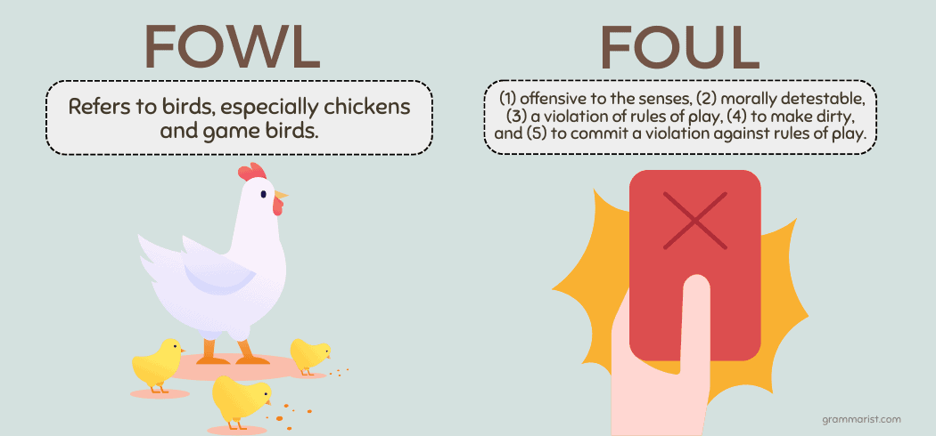 foul-vs-fowl-difference-meaning